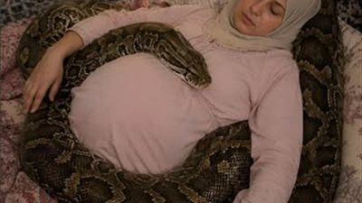 تنام امرأة حامل بجوار أفعاها الأليفة الضخمة كل ليلة،