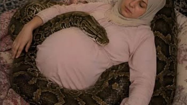 لمحة نيوز
