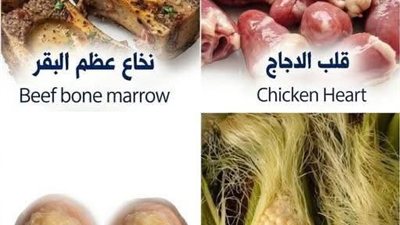 قلب الدجاج الوجبة المفضلة للدماغ والقلب
