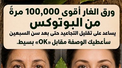 سحر الغار 2026.. كيف تعيد هذه الأوراق بناء الكولاجين وتشد البشرة مهما مر الزمن؟