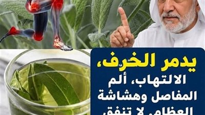 الميرمية بين الفوائد العلمية الحقيقية والمبالغات الإعلانية: قراءة واعية في الطب البديل
