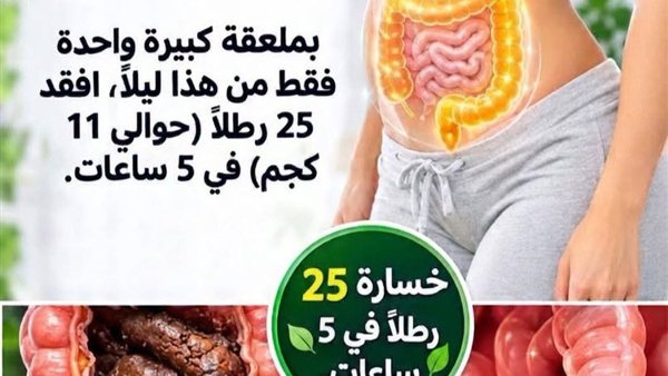 لمحة نيوز