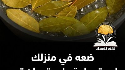 ورق الغار للحشرات  وصفة تجعل الحشرات تهرب من البيت