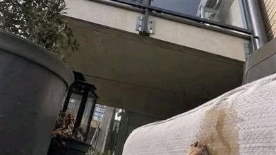 اعتاد جاري رمي أكياس الشاي المستعملة من شرفته لتسقط في شرفتي يومياً