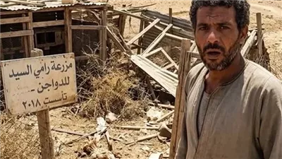 حـين عـاد الحـلم للحـياة كـاملة بقلـم منـي السـيد